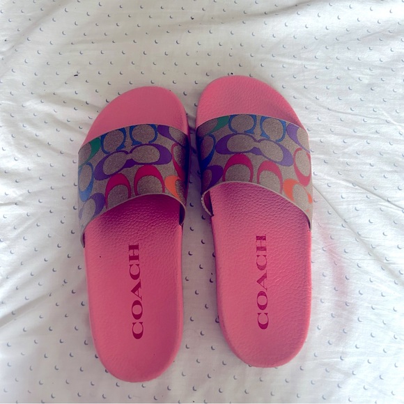 Coach slides - Picture 2 of 5